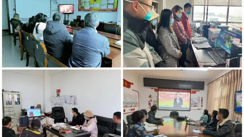 网络课程：揭秘其优缺点与选课技巧